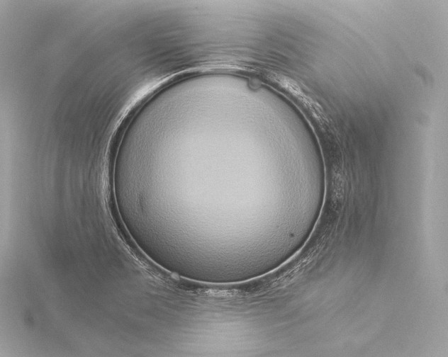 X0000116021469200912041739