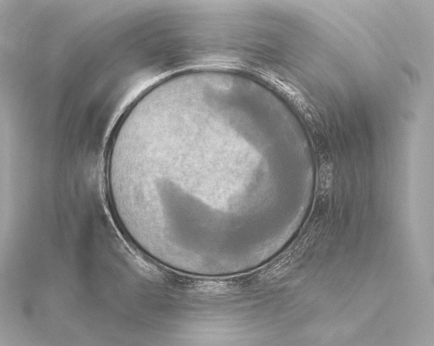 X0000116021470200912041739