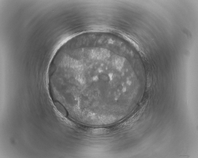 X0000116021471200912041739