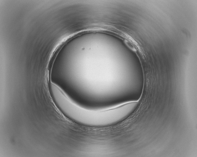 X0000116021472200912041739