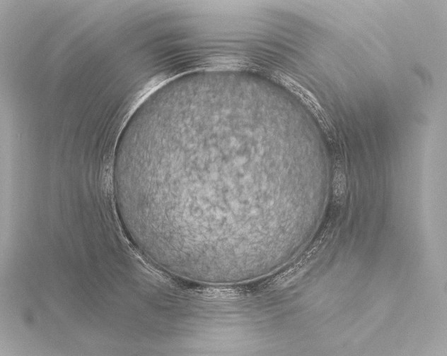 X0000116021473200912041739