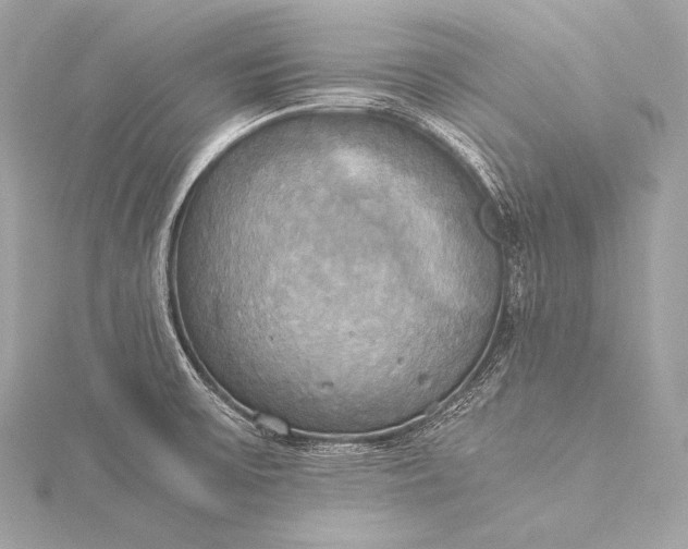 X0000116021475200912041739