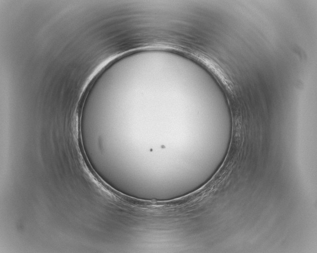 X0000116021476200912041739