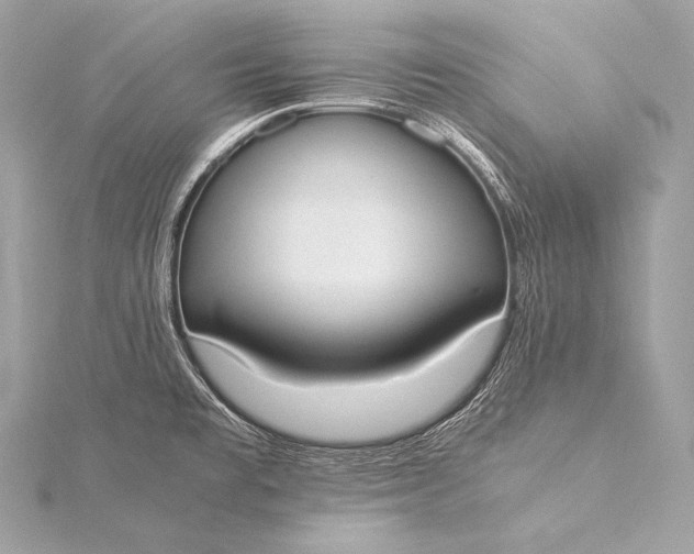 X0000116021477200912041739