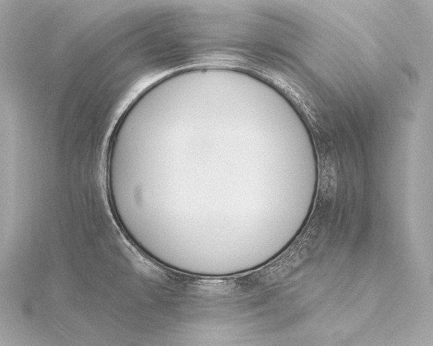 X0000116021478200912041739