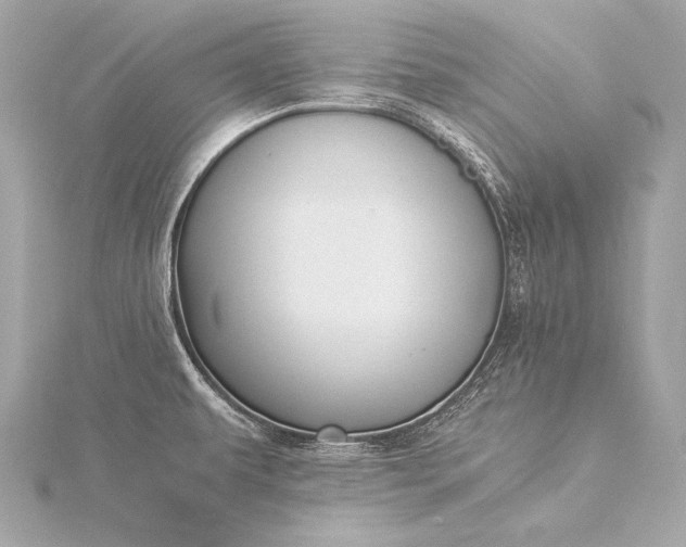 X0000116021479200912041739