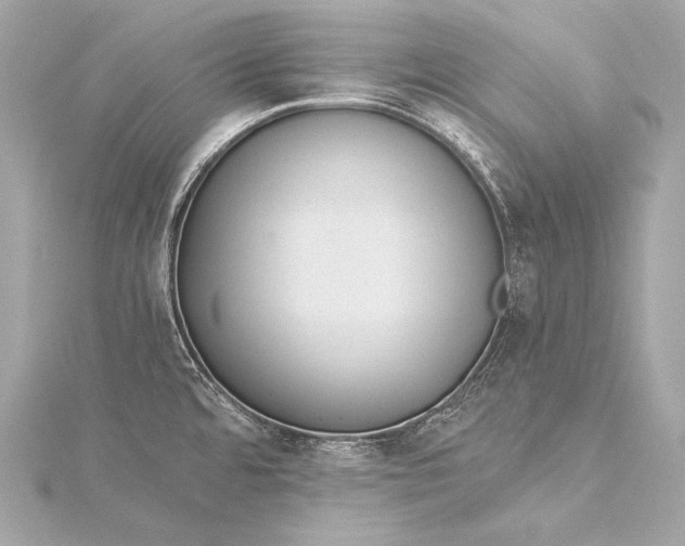 X0000116021480200912041739