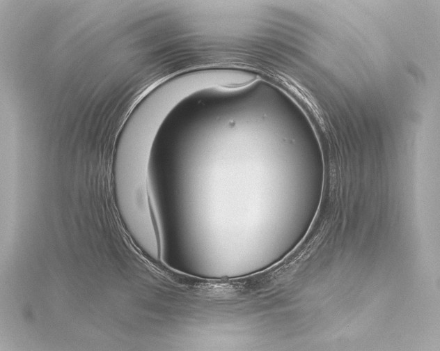 X0000116021481200912041739