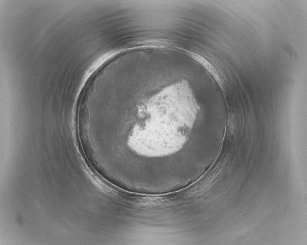 X0000116021482200912041739