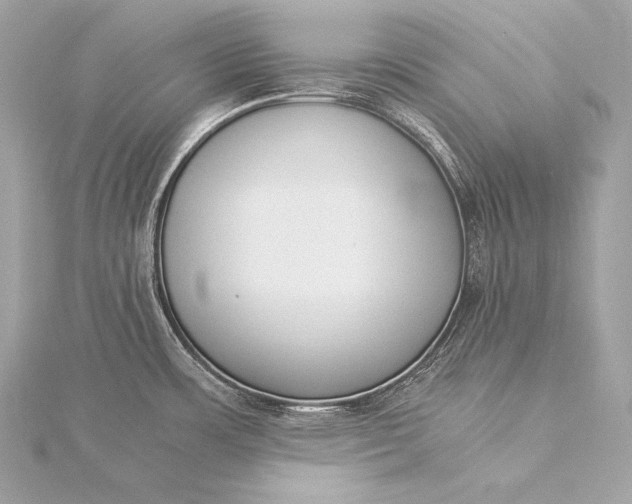 X0000116021483200912041739