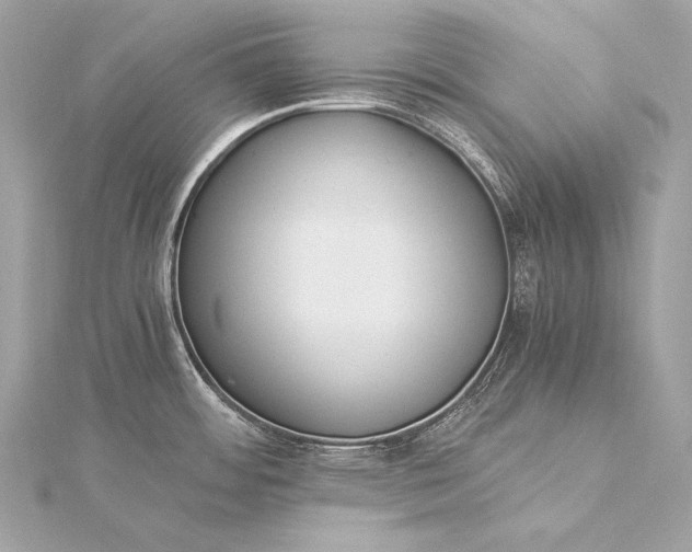 X0000116021484200912041739