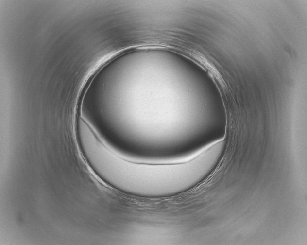 X0000116021485200912041739