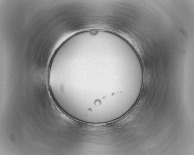 X0000116021486200912041739