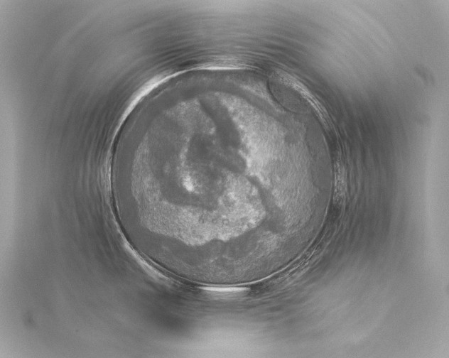 X0000116021487200912041739