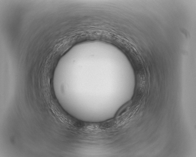 X0000116021489200912041739