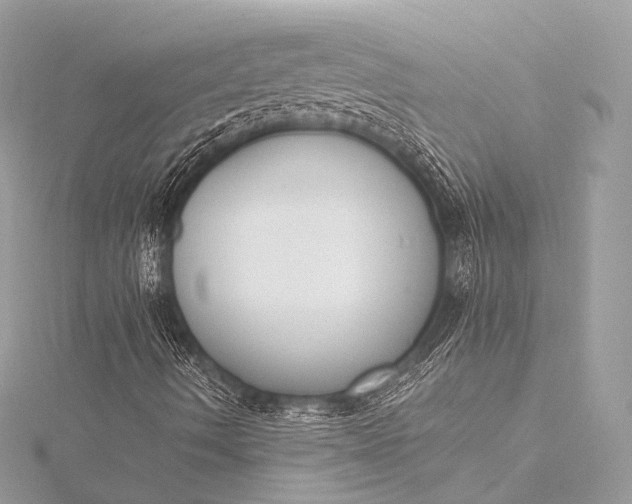 X0000116021490200912041739