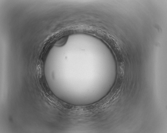 X0000116021493200912041739