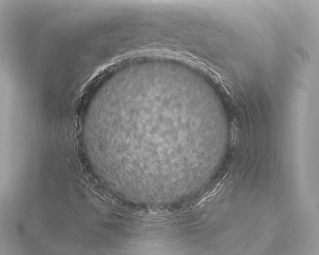 X0000116021494200912041739