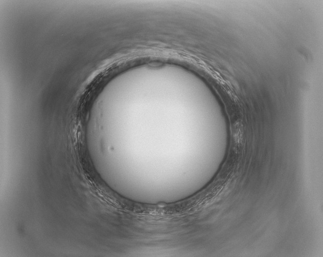 X0000116021495200912041739