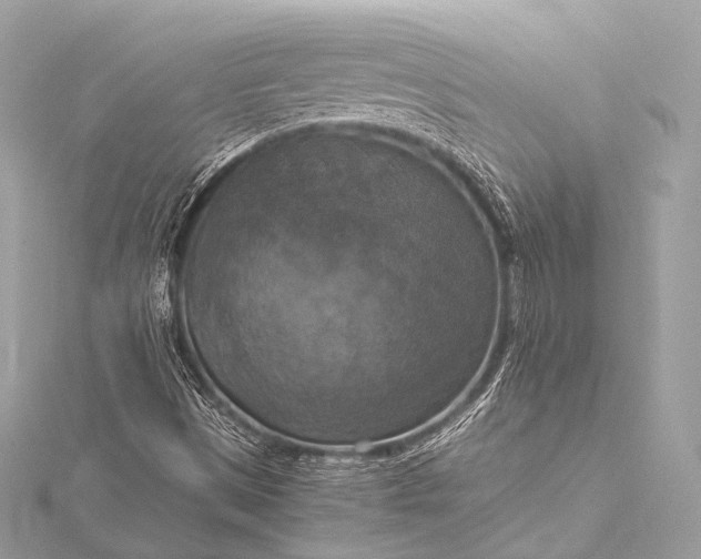 X0000116021497200912041739