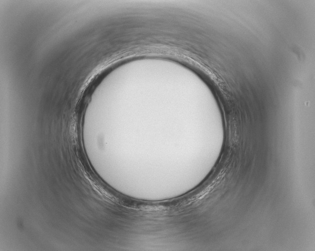 X0000116021498200912041739