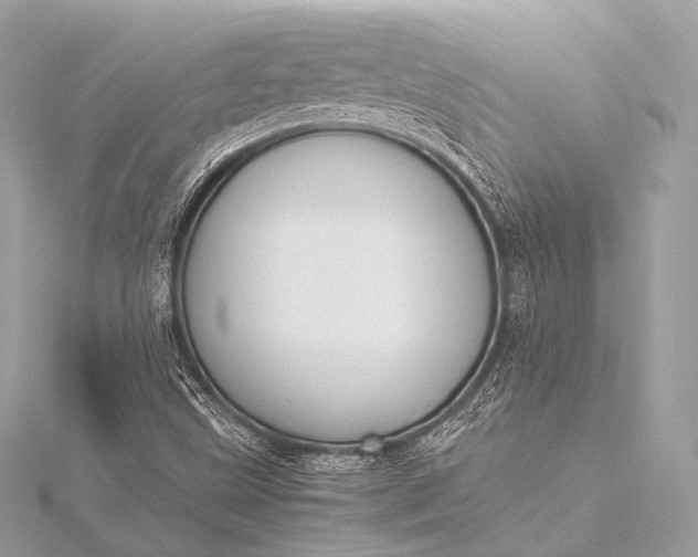 X0000116021499200912041739