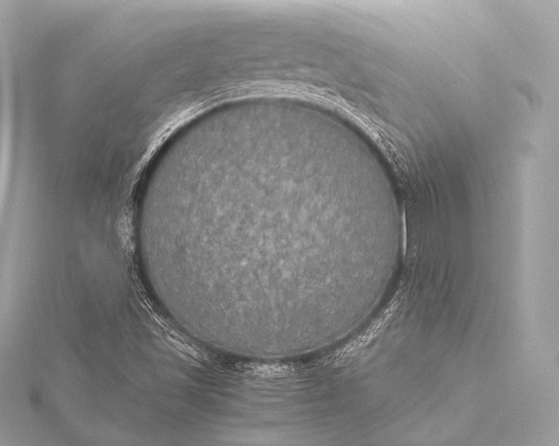 X0000116021501200912041739