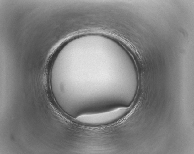 X0000116021502200912041739