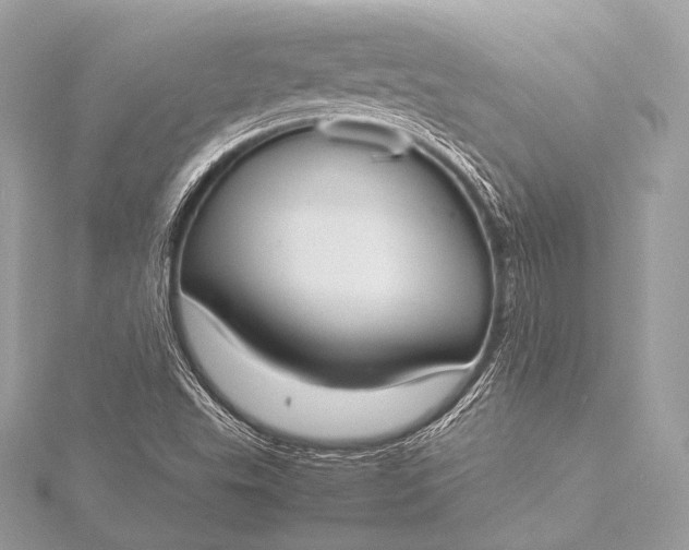 X0000116021503200912041739