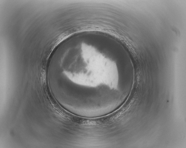 X0000116021505200912041739