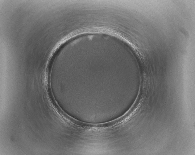 X0000116021506200912041739