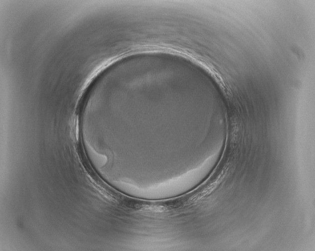 X0000116021509200912041739