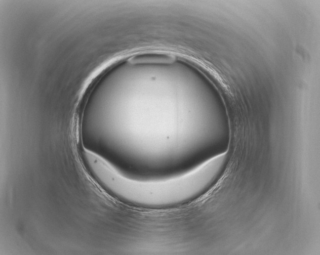 X0000116021510200912041739