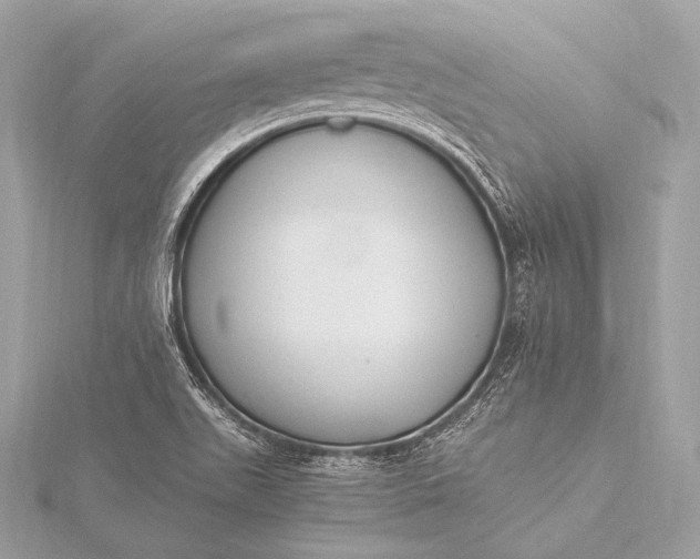 X0000116021511200912041739