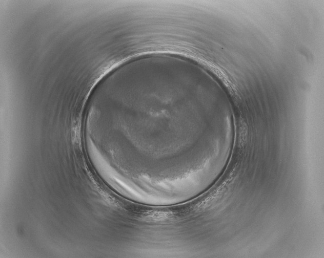 X0000116021513200912041739