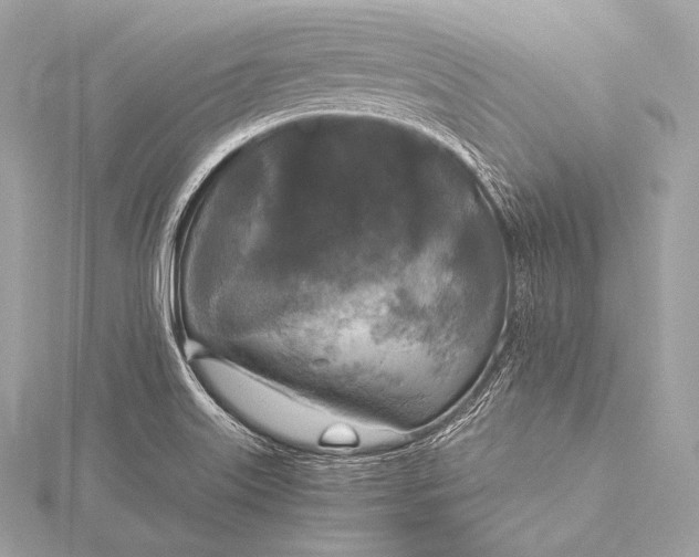 X0000116021515200912041739