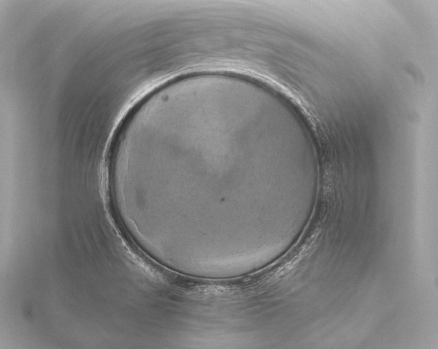 X0000116021517200912041739