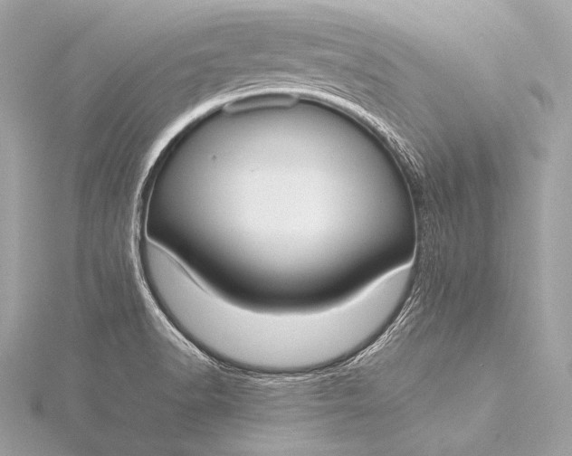 X0000116021518200912041739