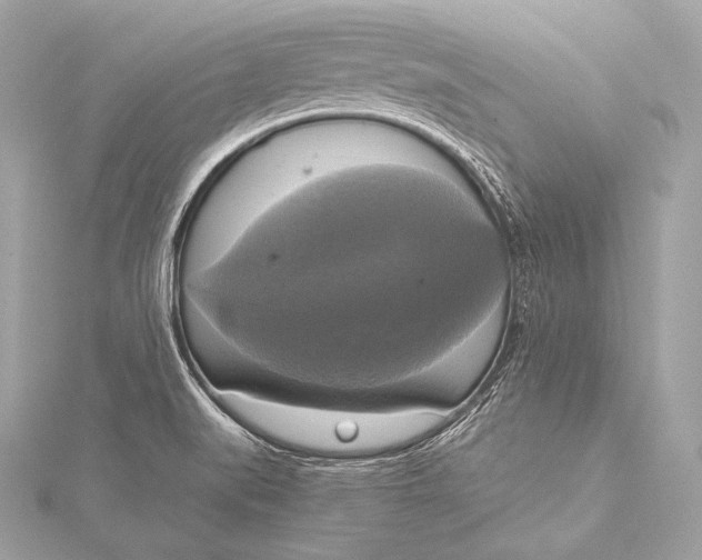 X0000116021519200912041739