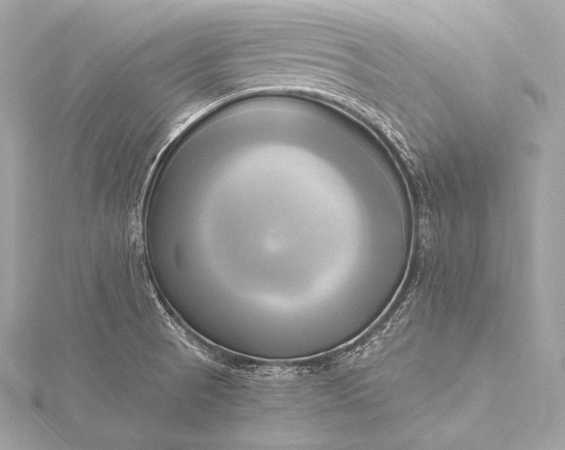 X0000116021521200912041739