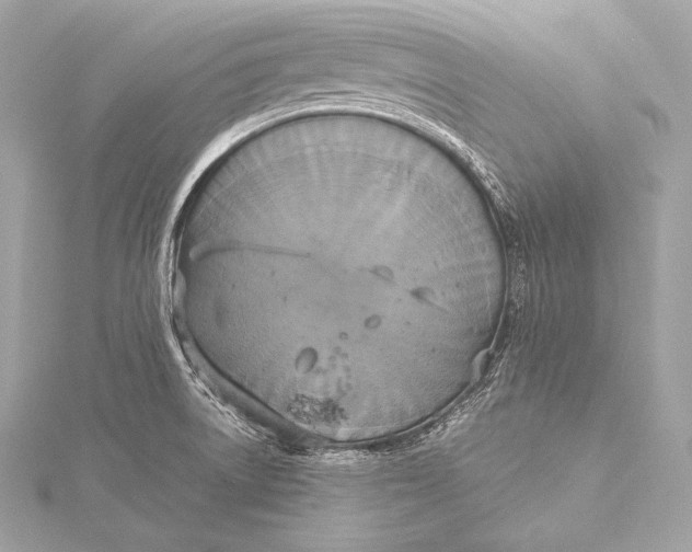 X0000116021522200912041739