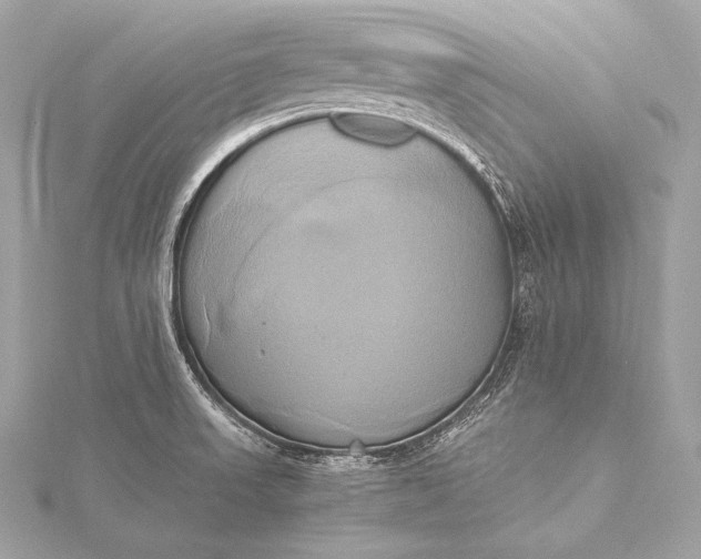 X0000116021523200912041739