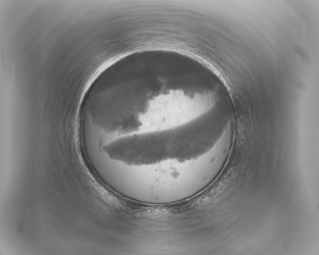 X0000116021525200912041739