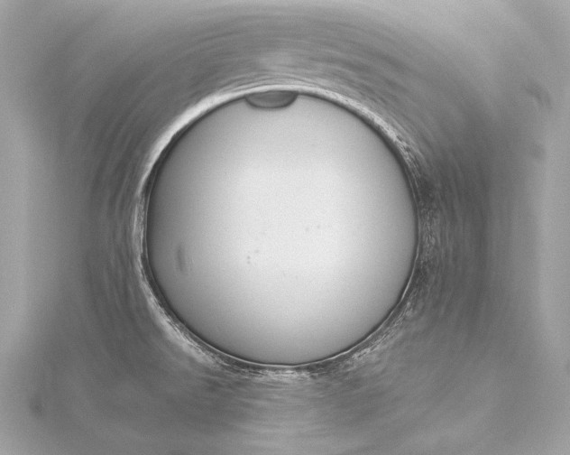 X0000116021526200912041739