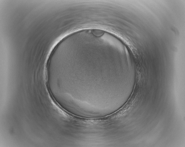 X0000116021527200912041739