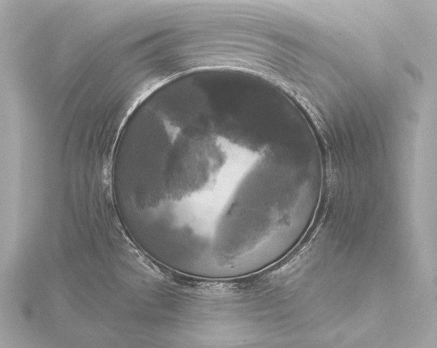 X0000116021529200912041739