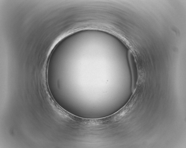 X0000116021530200912041739