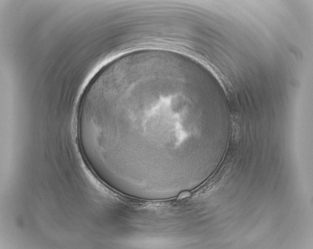 X0000116021531200912041739