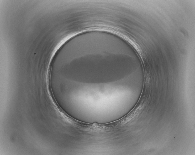 X0000116021533200912041739