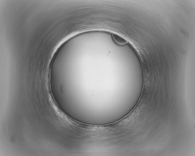 X0000116021534200912041739